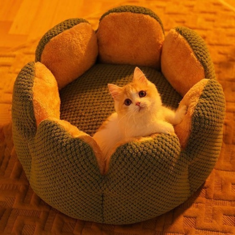 Cozy Cactus Petal-Shaped Pet Bed