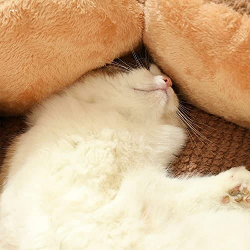 Cozy Cactus Petal-Shaped Pet Bed